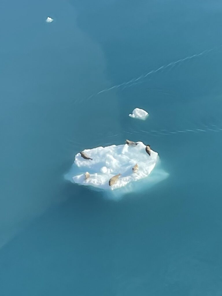 extended-bear-glacier-scenic-flight-seward-helicopter-tours
